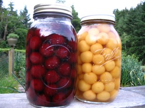 jars of cherries